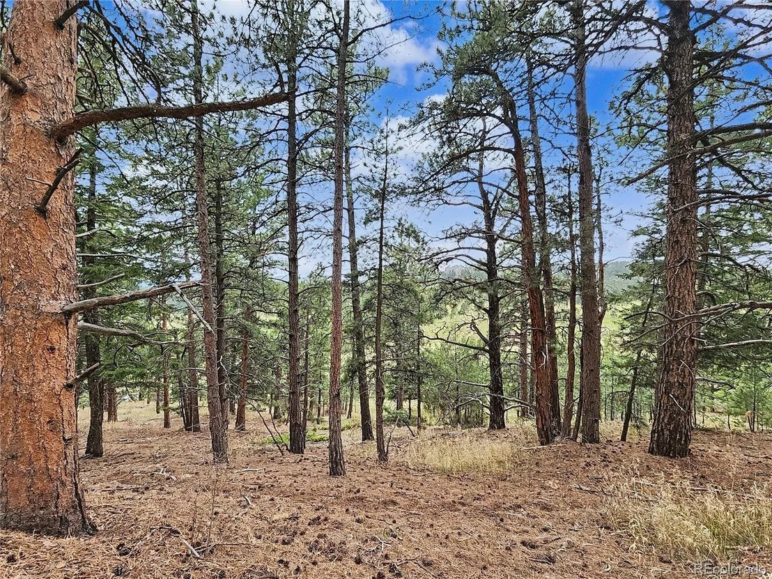 Photo of 6078 Lone Peak Dr