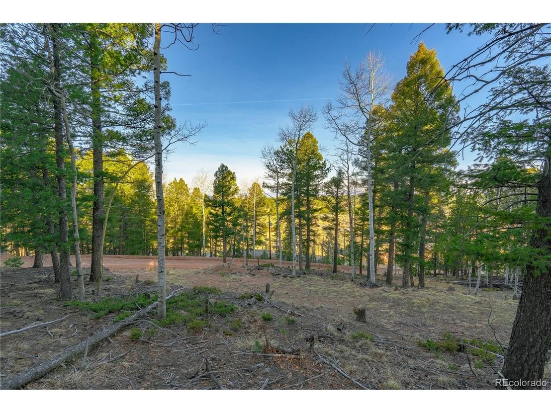 Photo of 88 Malmsey Ln