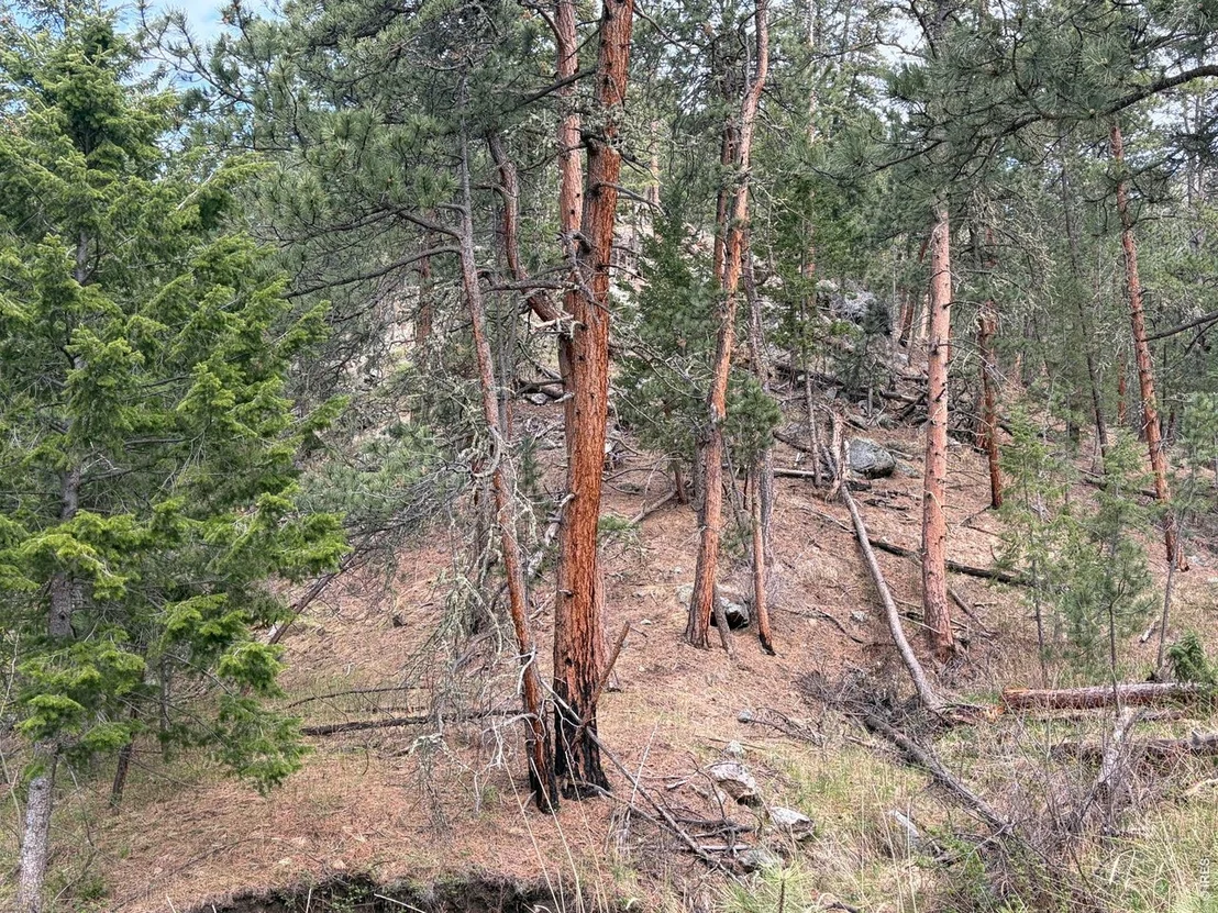 Photo of 1899 Spring Valley Rd