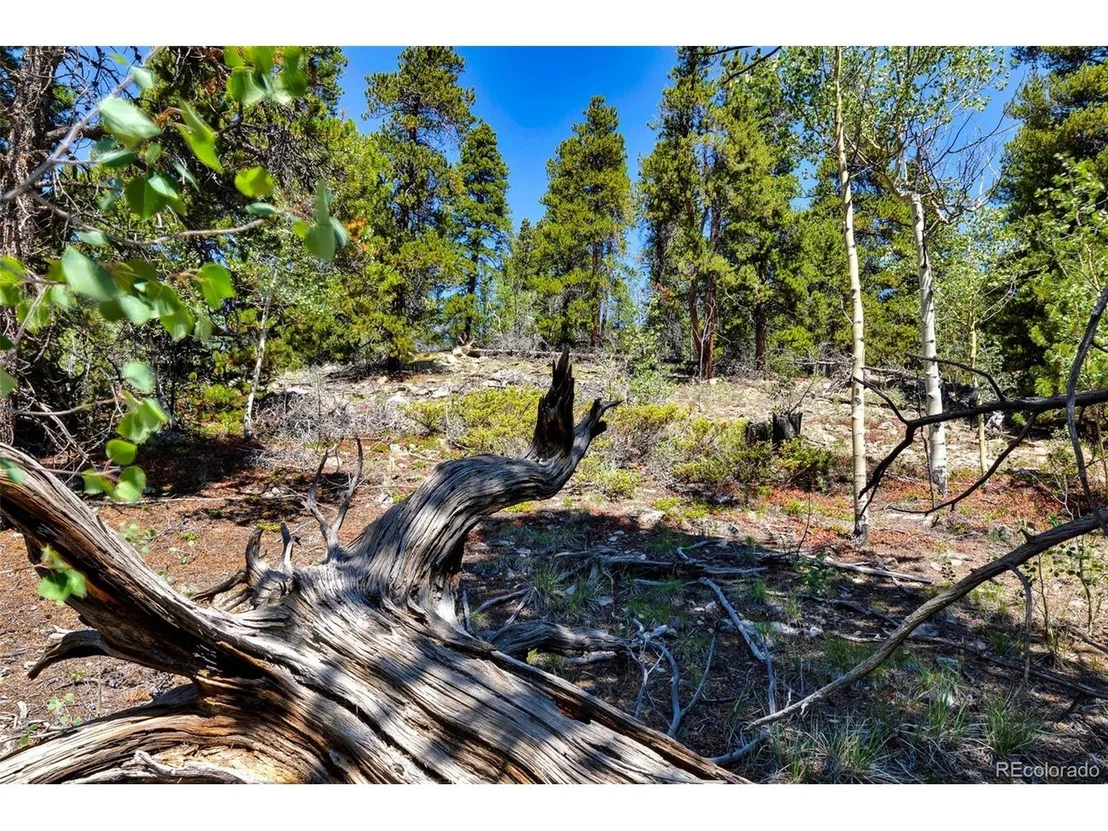 Photo of 497 TEN HIGH Ln