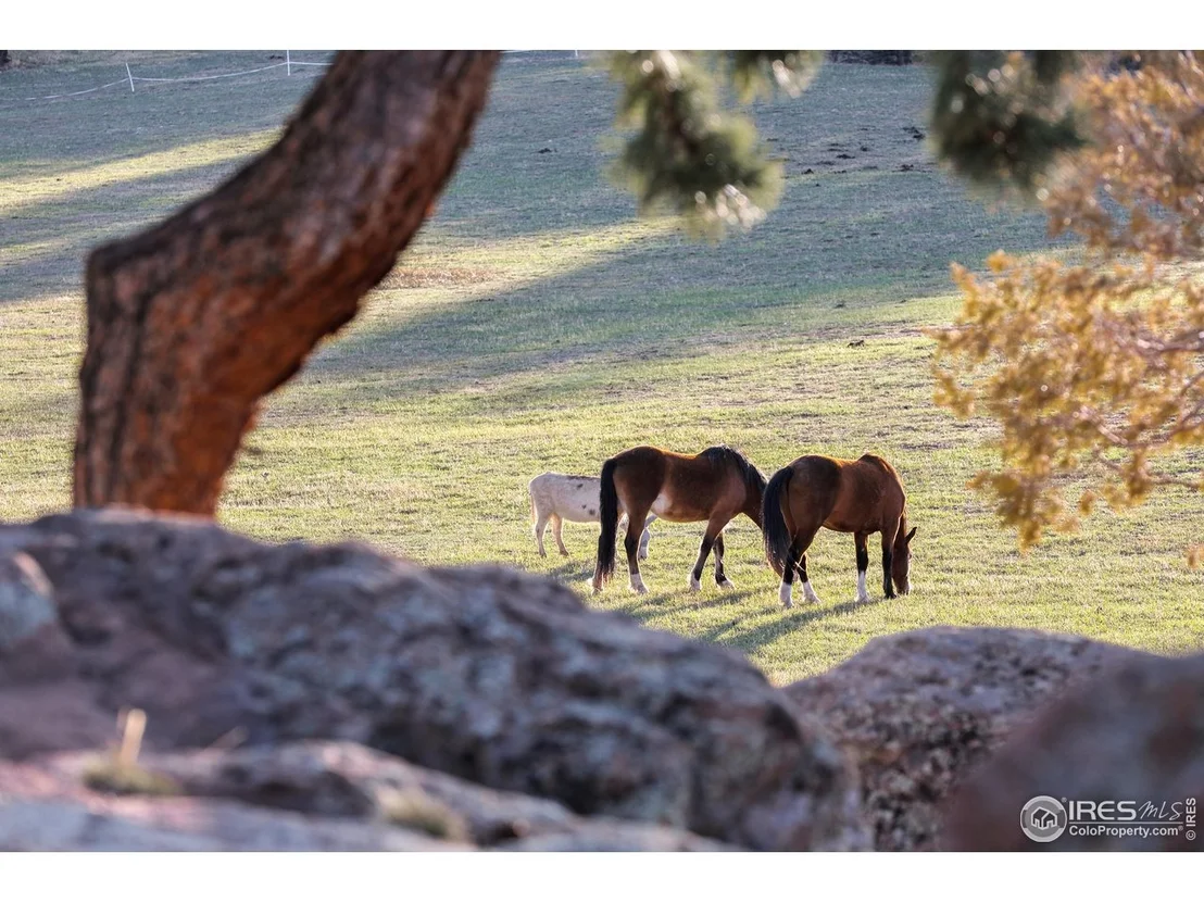 Photo of 1740 Spring Gulch Dr