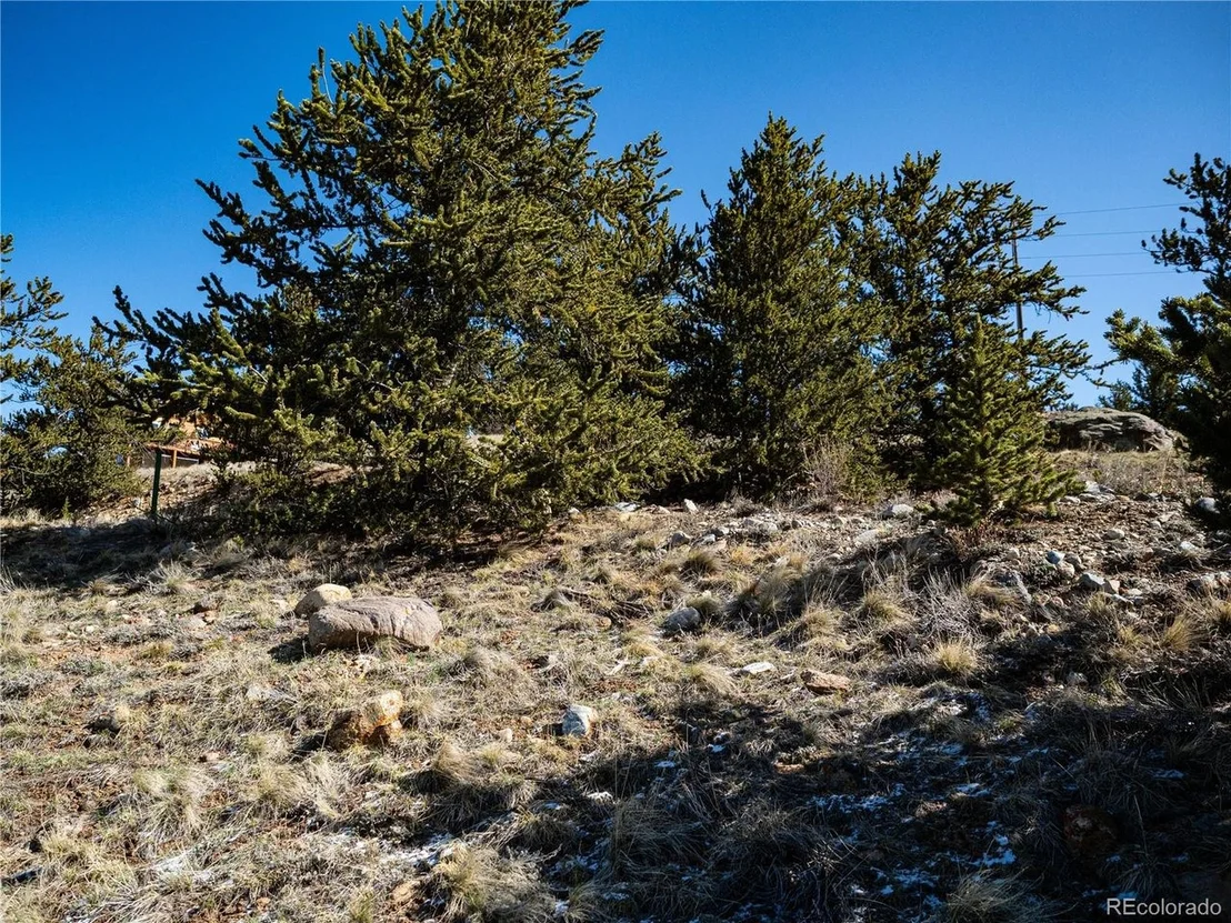 Photo of 39 Platte View Dr
