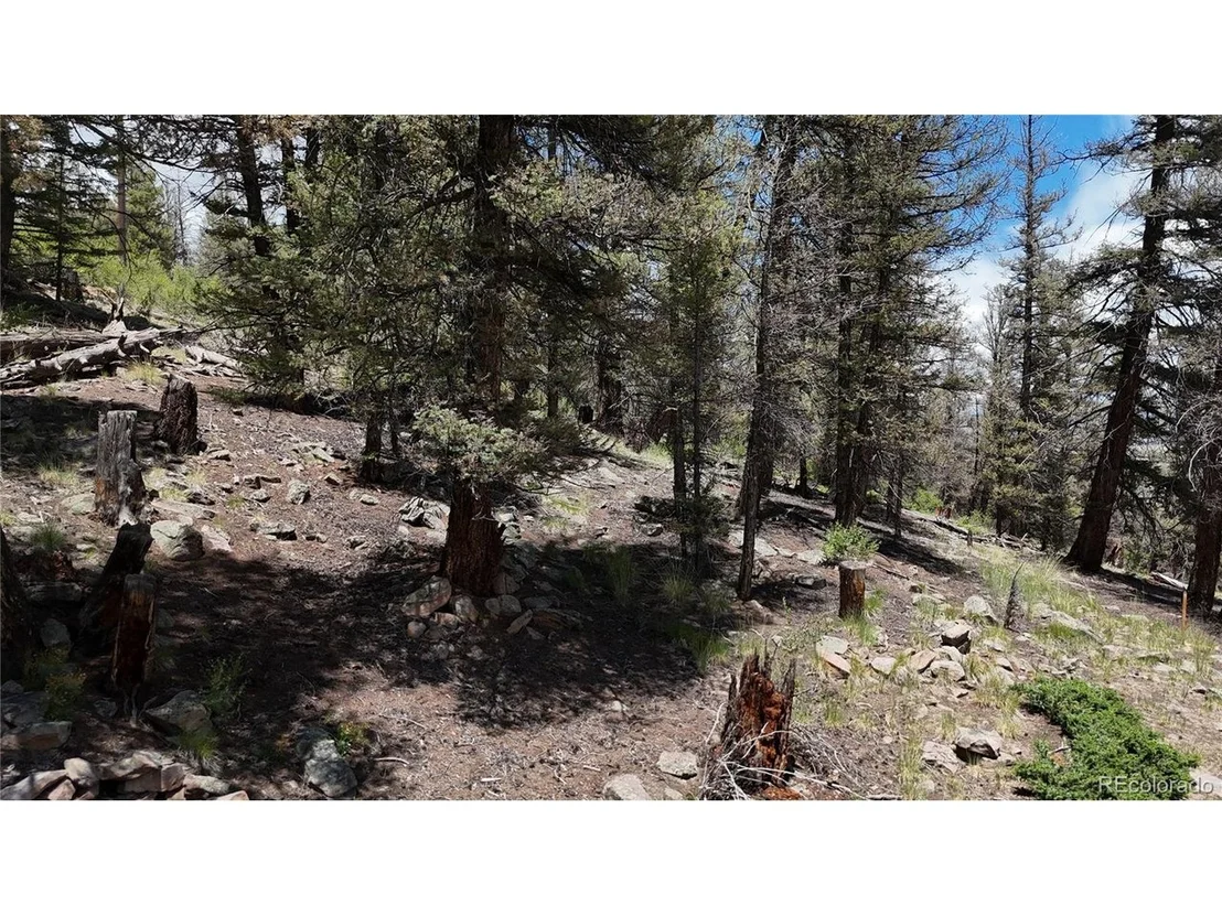 Photo of 1348 Middle Fork Vis