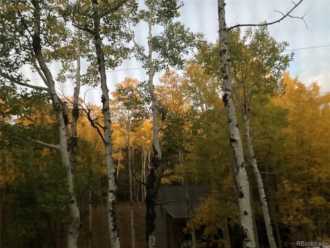 Photo of 479 Deer Rd