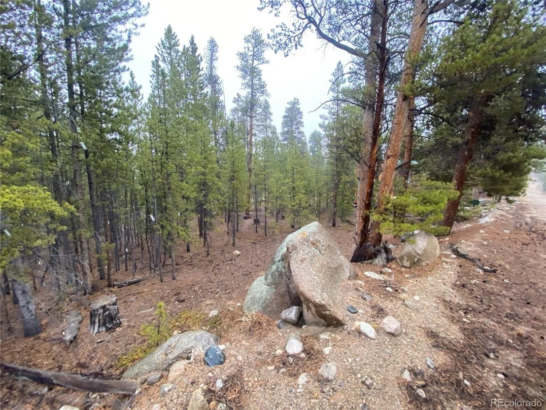 Photo of 143 Juniper Dr