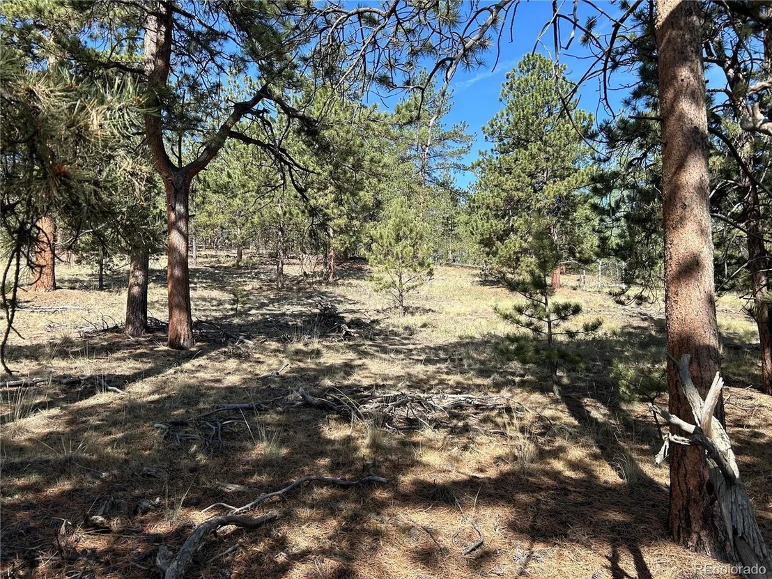 Photo of 565 Hayhook Way
