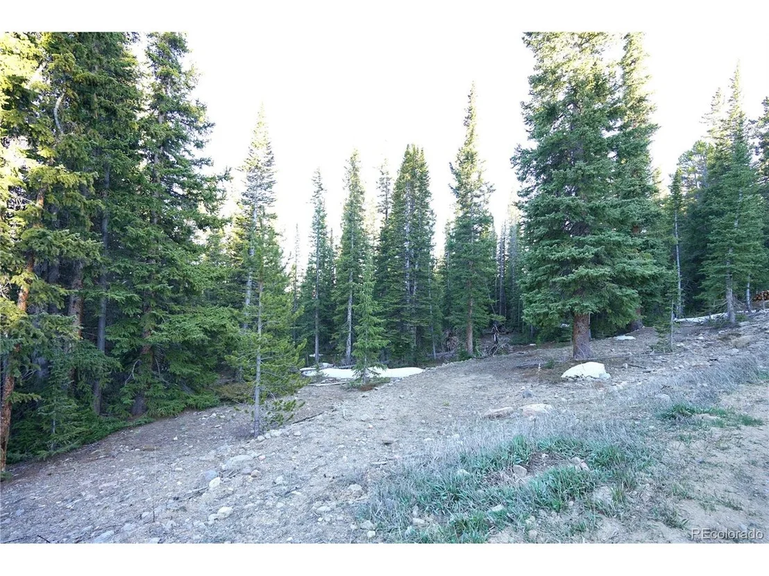 Photo of 252 Silverheels Pl