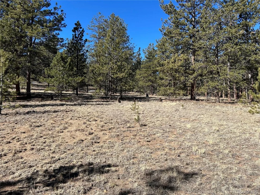 Photo of 147 Haystack Rd