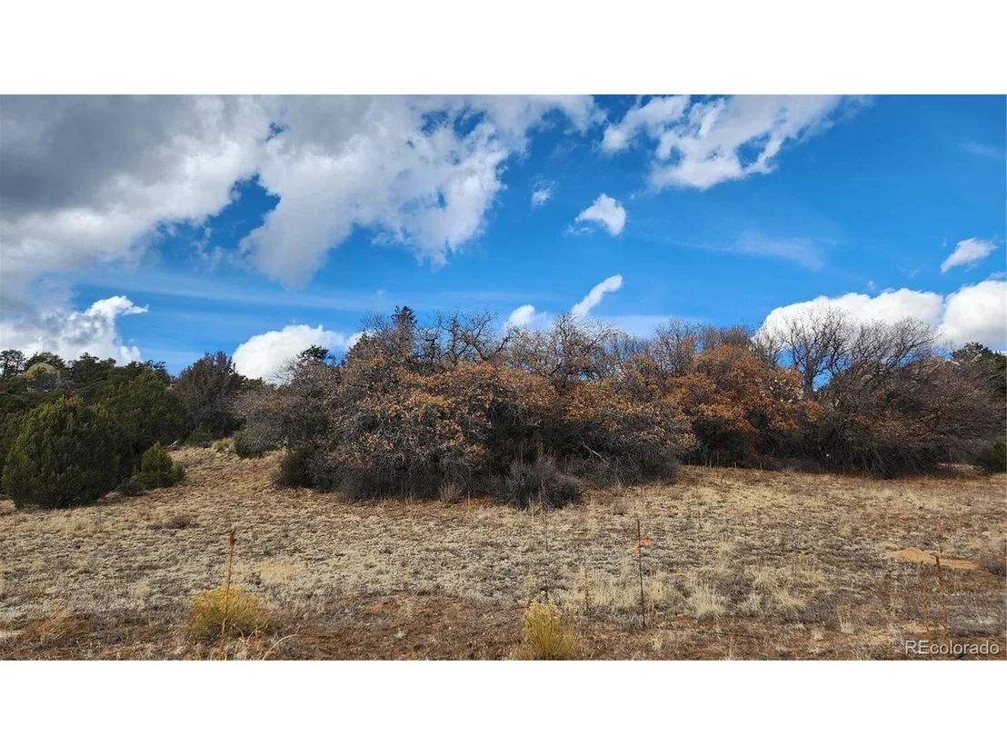 Photo of 47 White Cloud Dr
