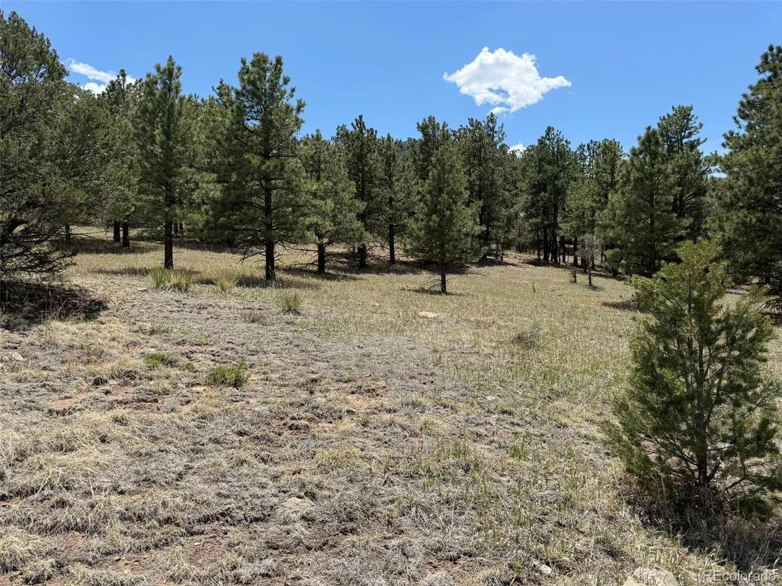 Photo of 477 Bear Peak Rd