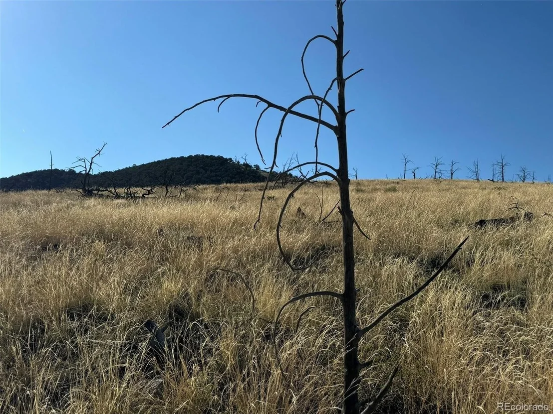 Photo of 48 Copper Gultch