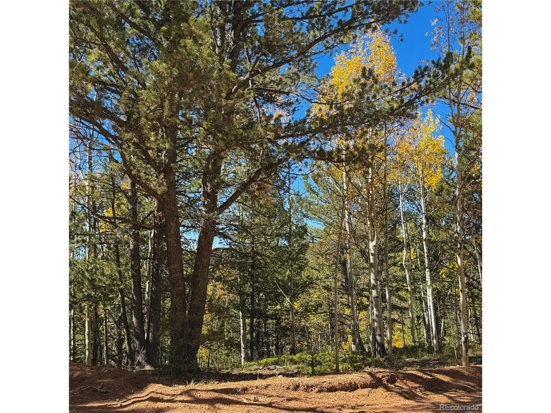 Photo of 773 Timber Ridge Rd