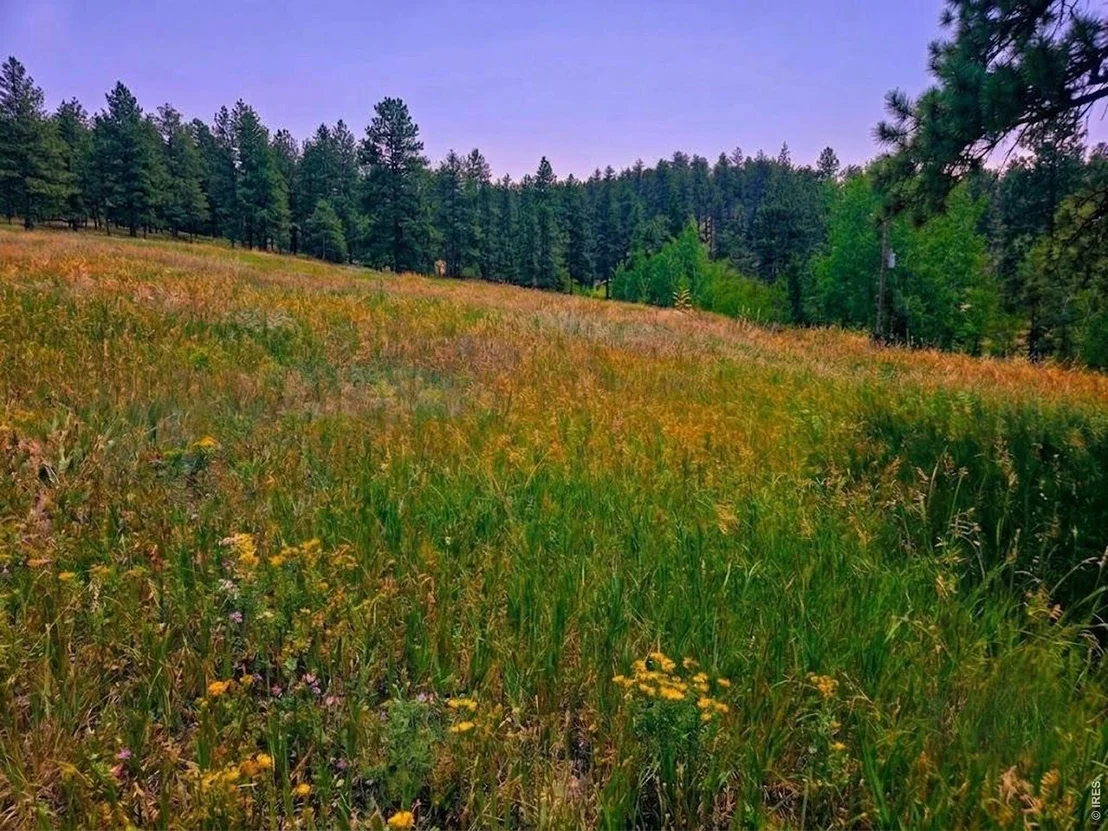 Photo of 620 Davis Ranch Rd