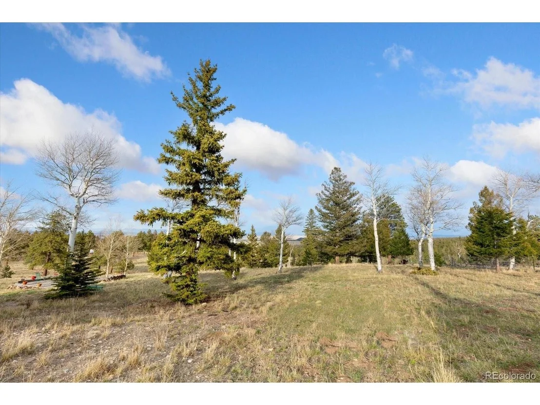 Photo of 937 Pitchfork Rd