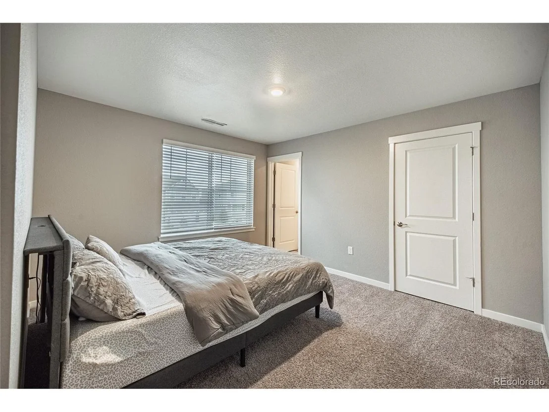 Photo of 17308 Red Cosmos Pt