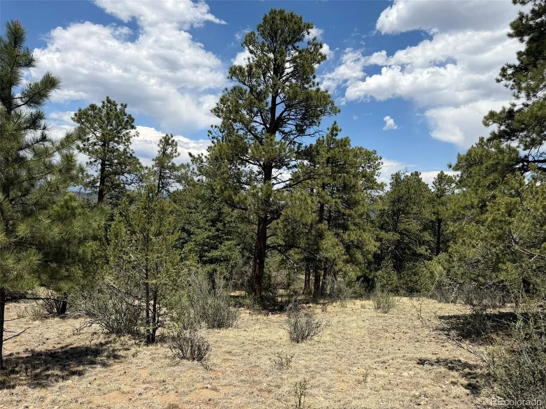 Photo of 477 Bear Peak Rd