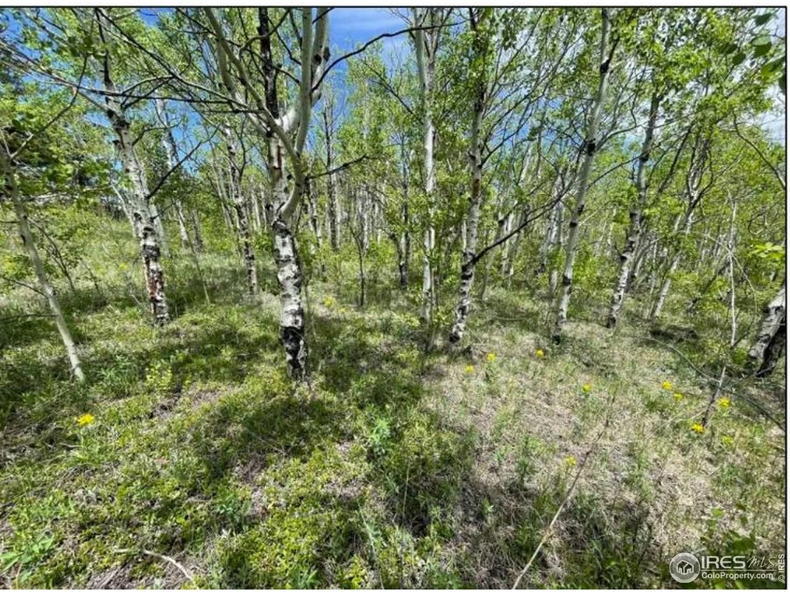 Photo of 11320 Gold Hill Rd