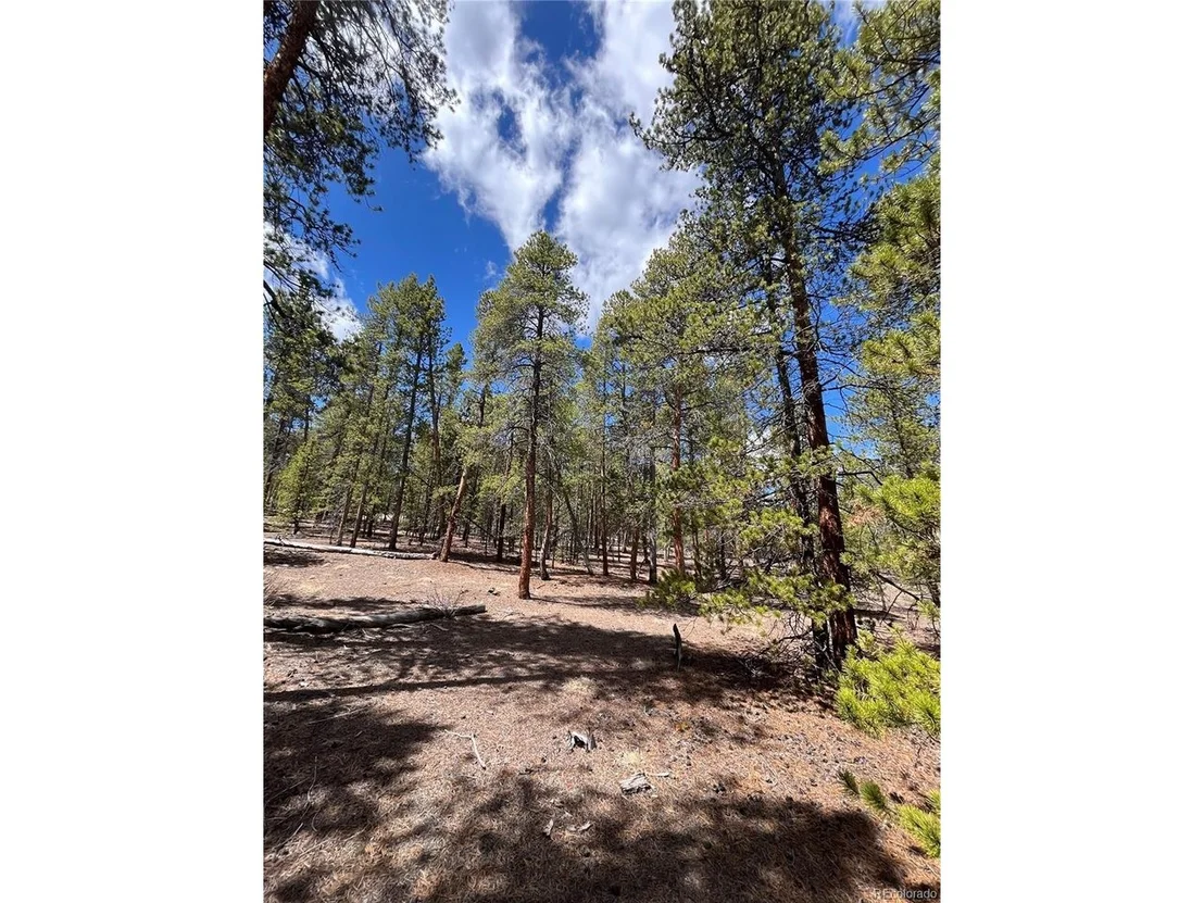 Photo of 1013 Sequoia Dr