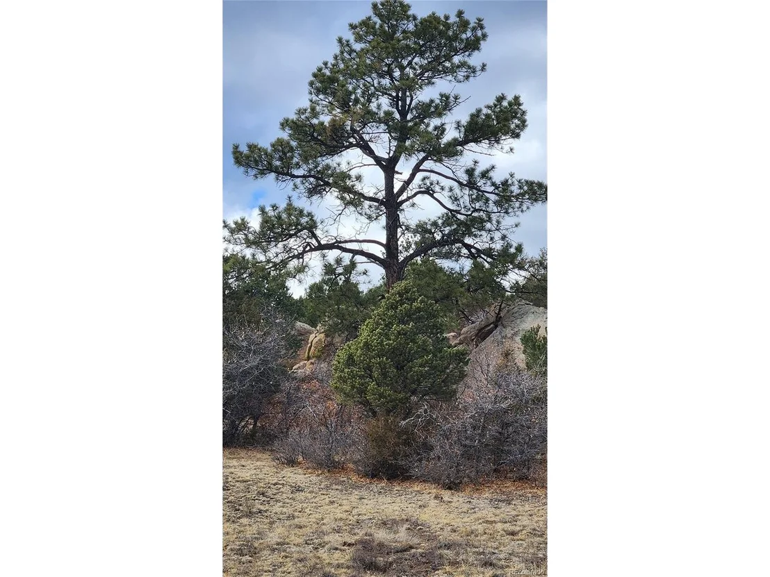 Photo of 47 White Cloud Dr
