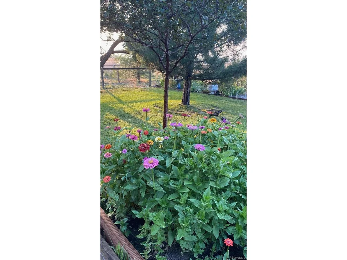 Photo of 765 Grape St