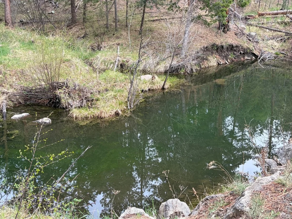 Photo of 1899 Spring Valley Rd