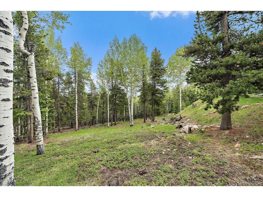 Photo of 11222 Conifer Mountain Rd