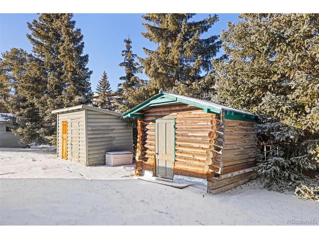 Photo of 1608 Mount Massive Dr
