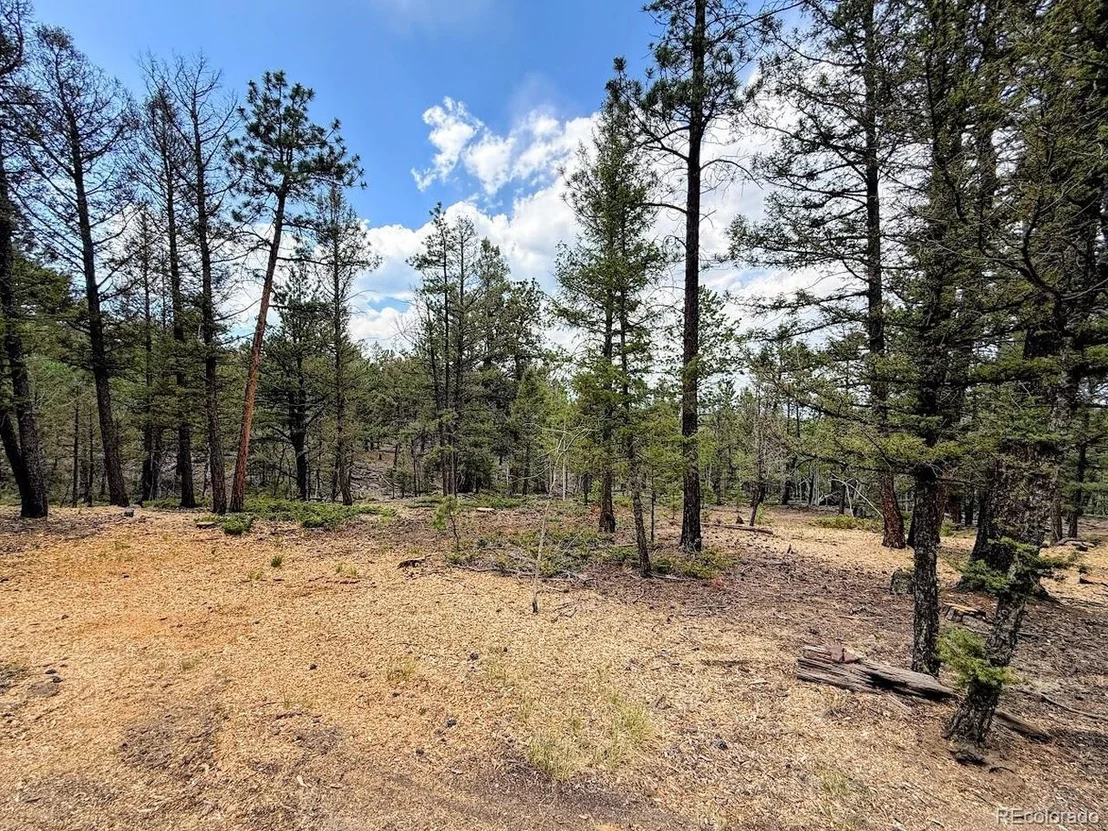 Photo of 1789 Bellows Rd