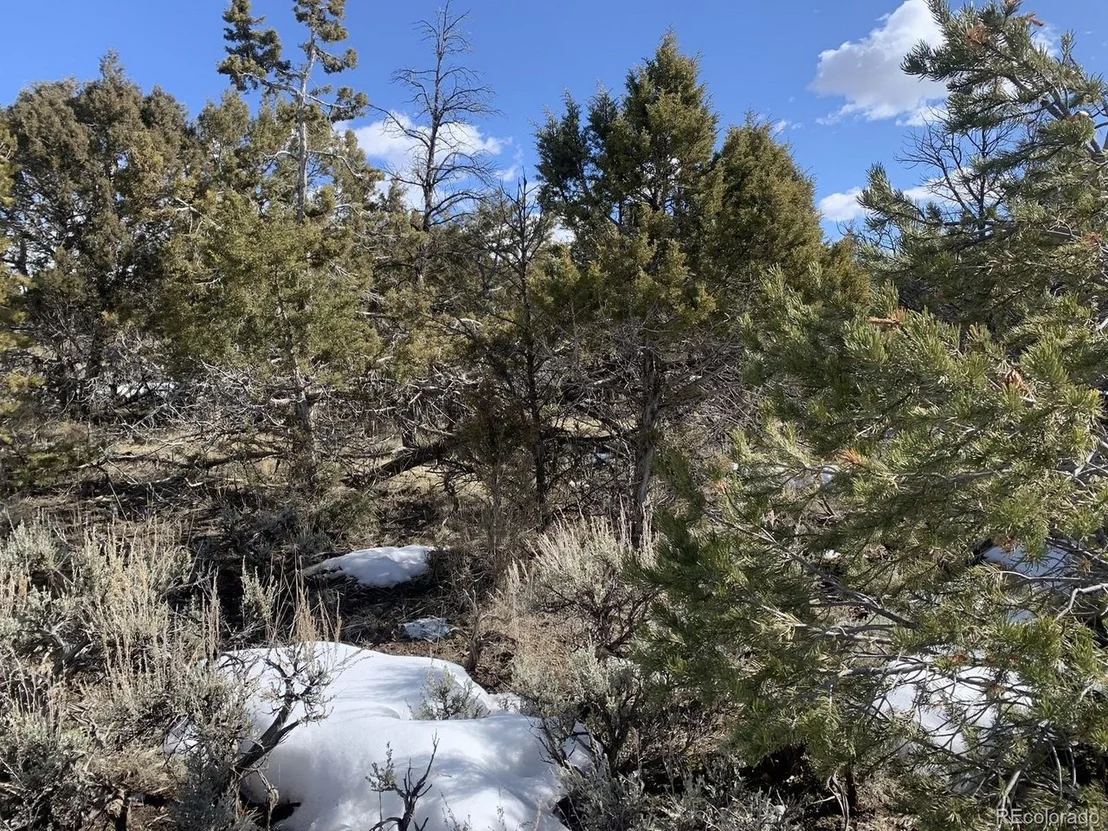 Photo of 24565 Timothy Rd