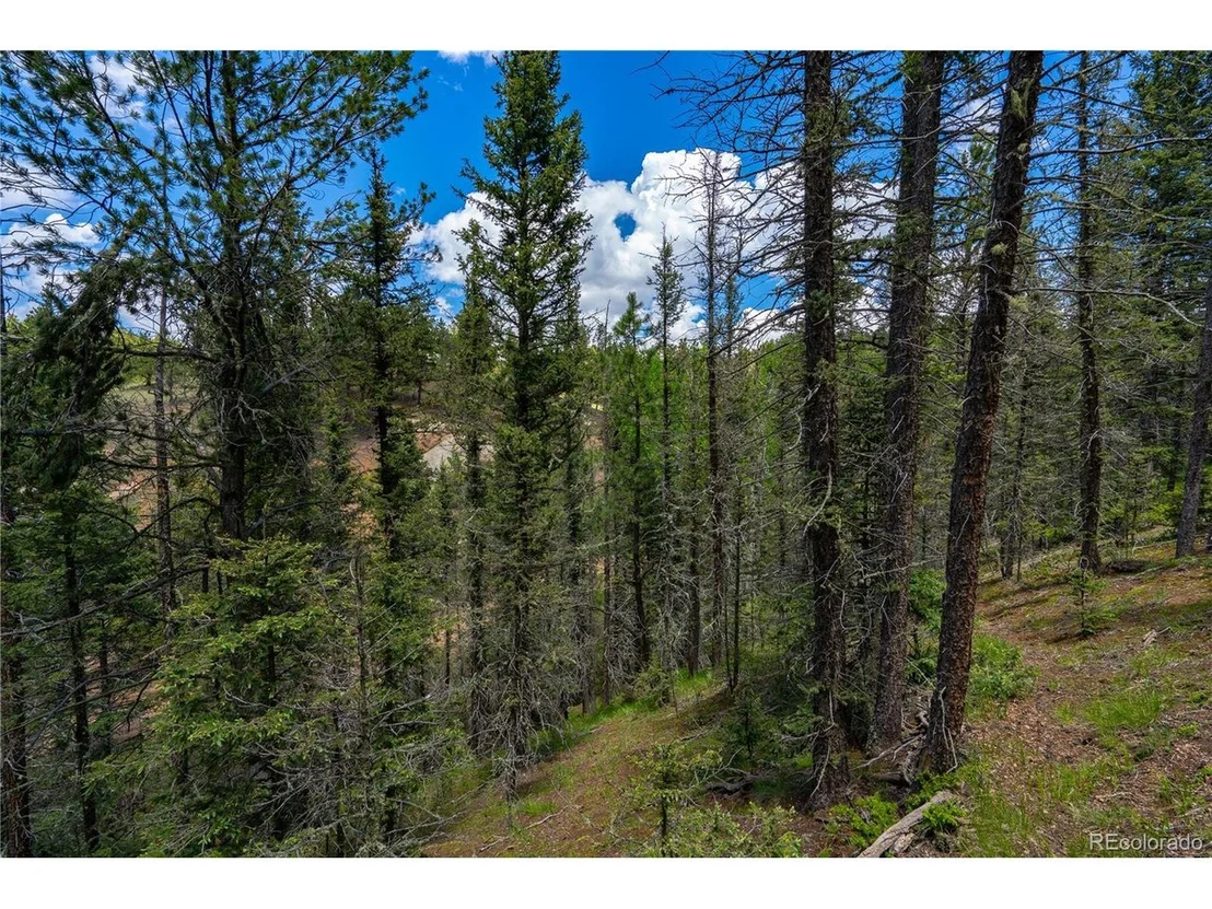 Photo of 125 Peregrine Way