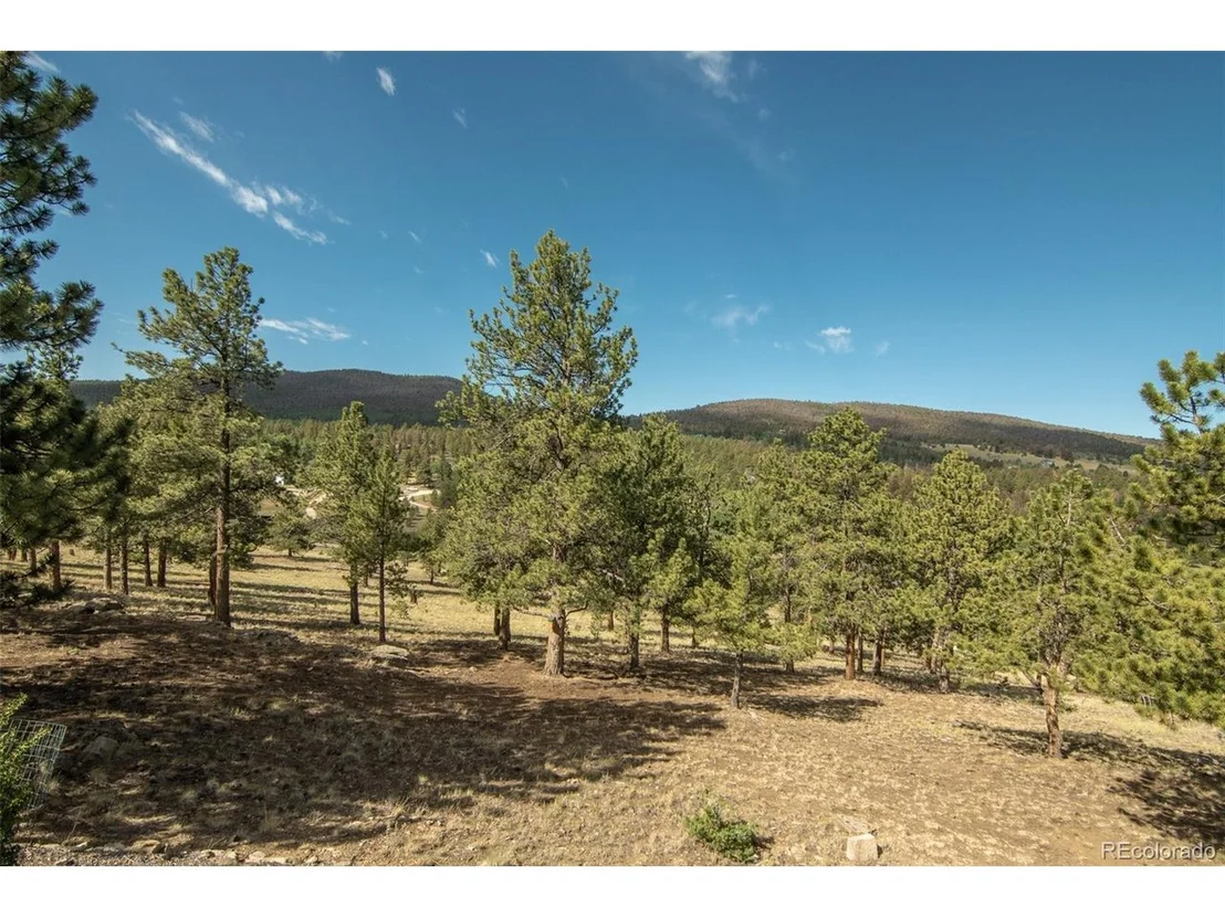 Photo of 3296 Singletree Rd