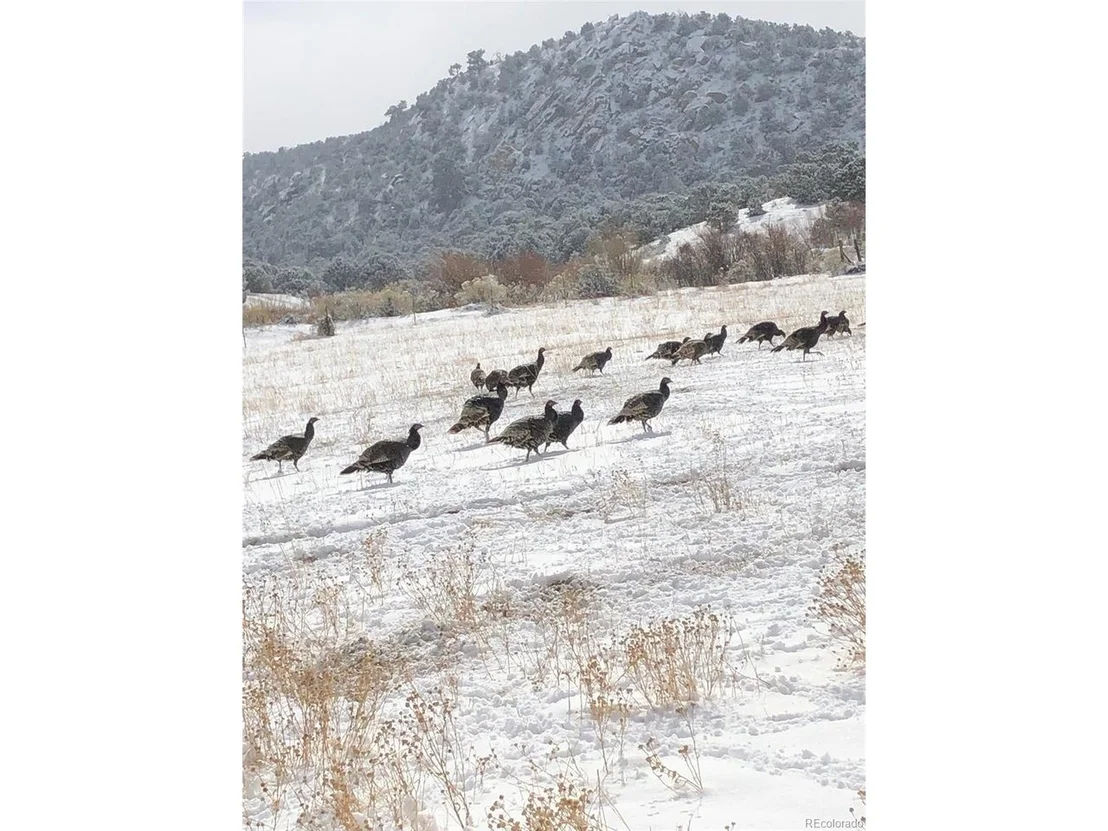 Photo of 640 County Rd 571