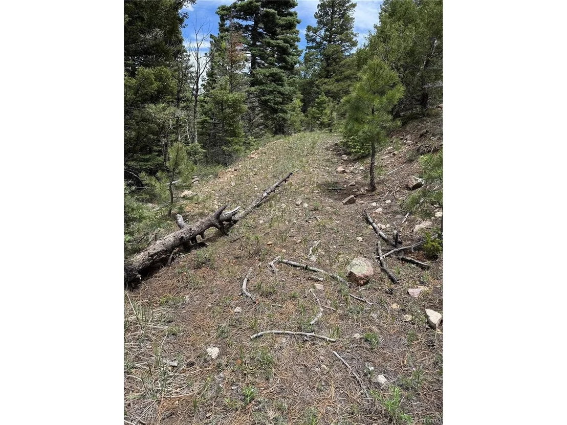 Photo of Knotty Pine Rd