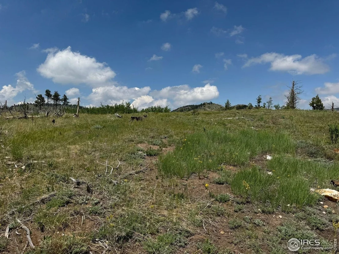Photo of 280 Rim Rd