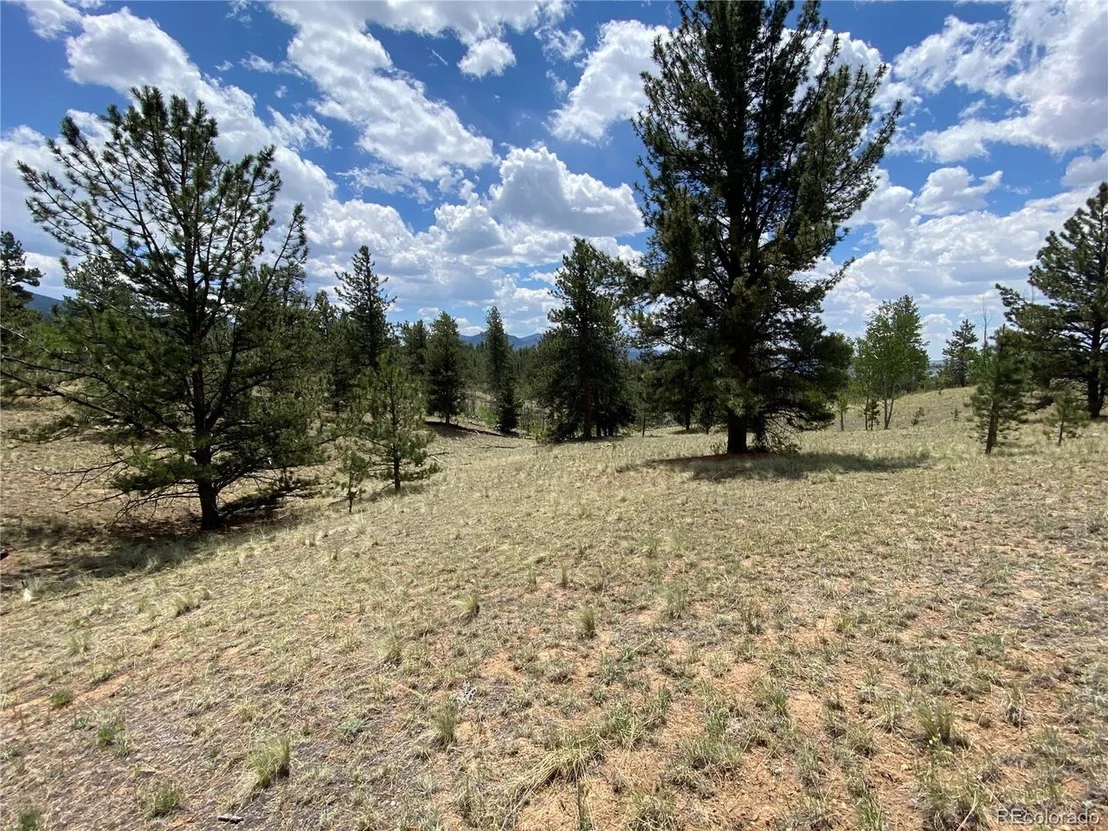 Photo of 73 Rams Run