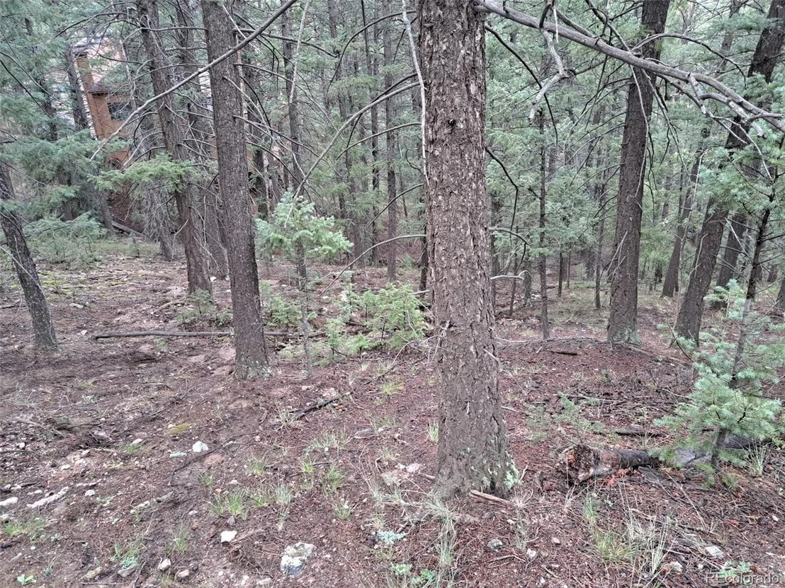 Photo of 360 Hi Meadow Dr