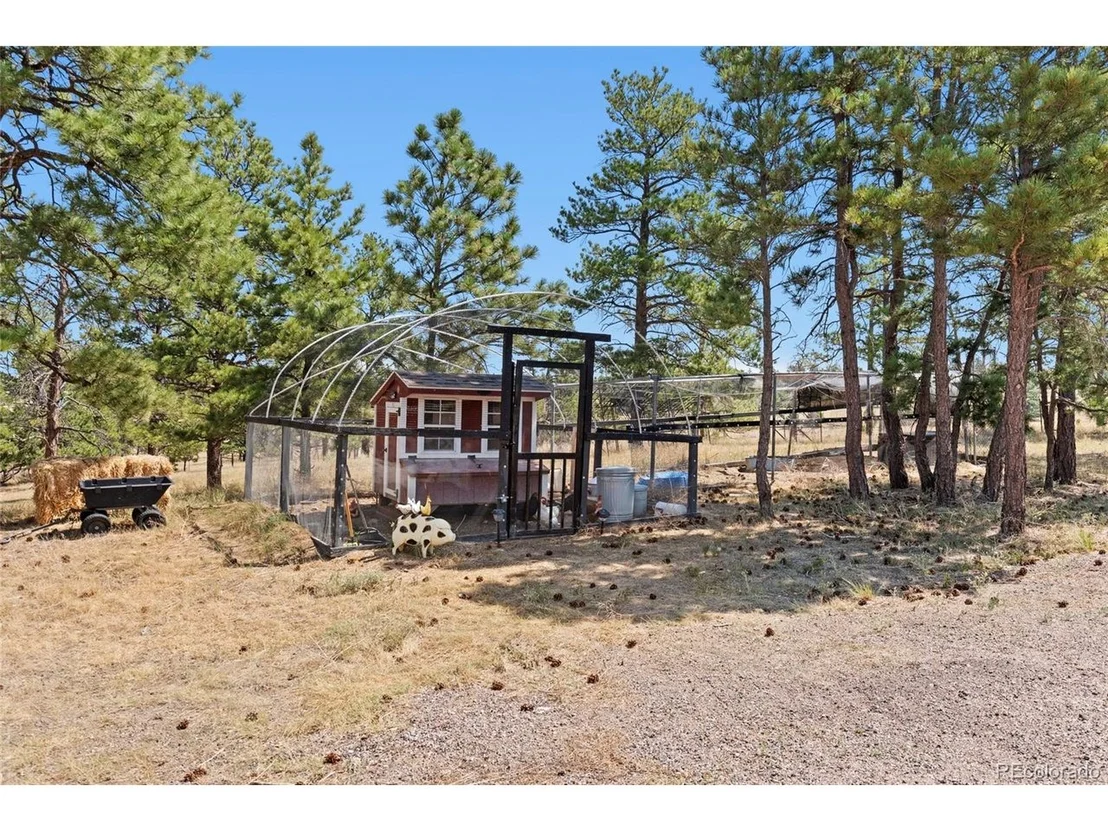 Photo of 32030 Cattle Cir