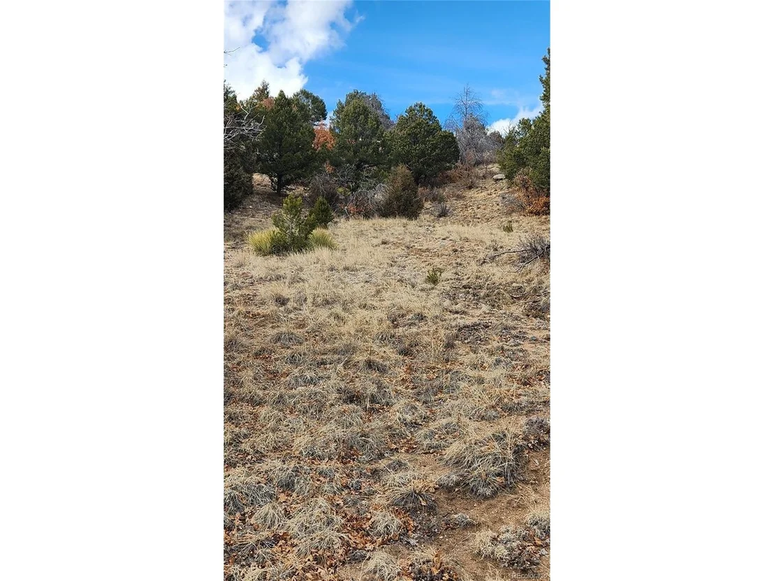 Photo of 47 White Cloud Dr
