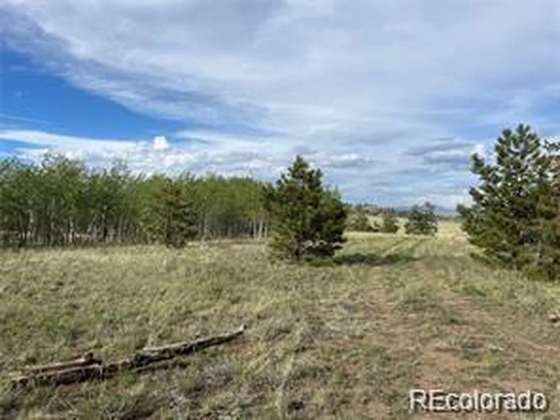Photo of 1599 Campfire Rd