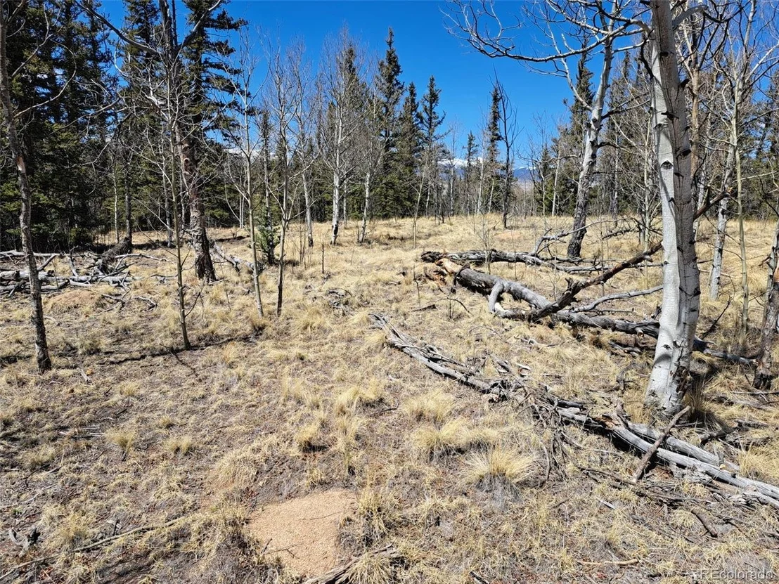 Photo of 730 Tepee Trl