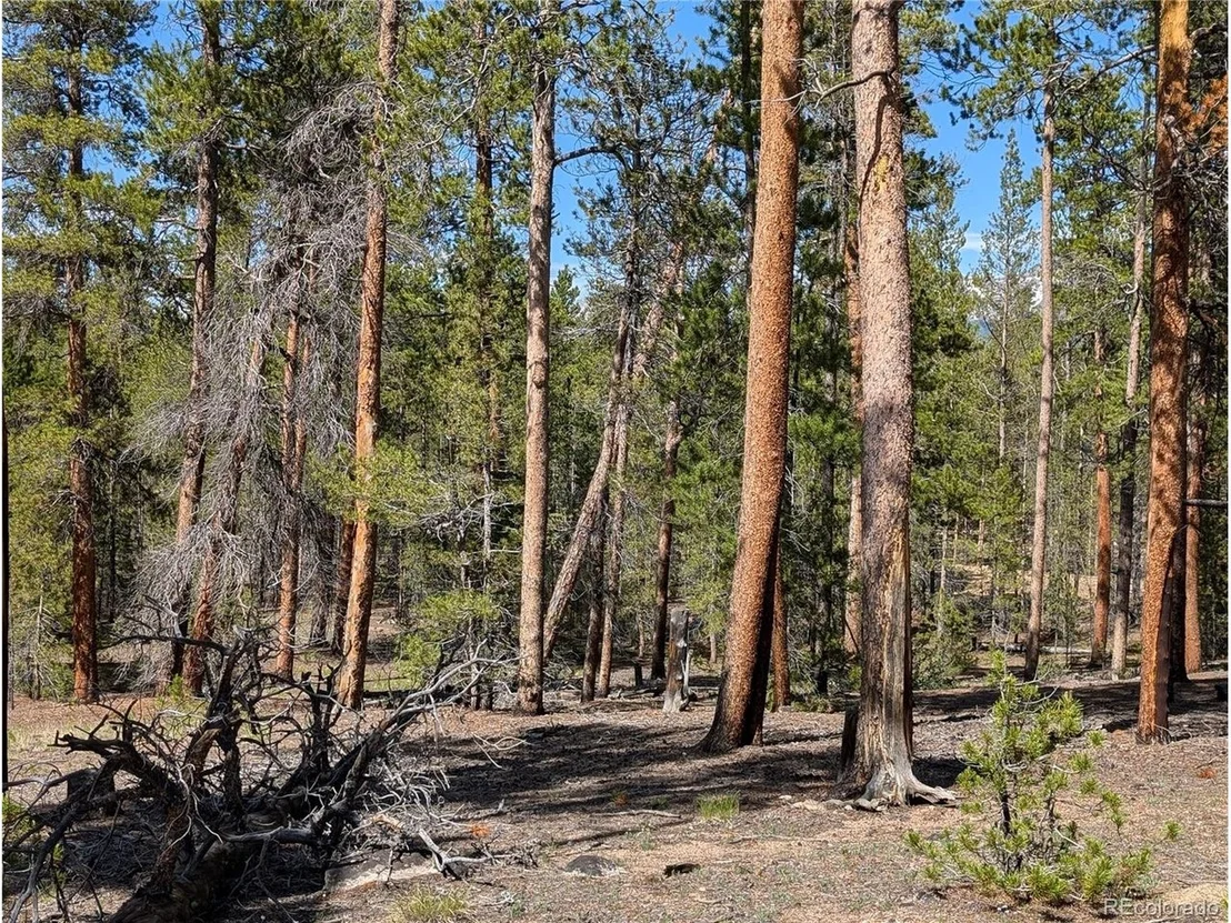Photo of 495 Birch Dr