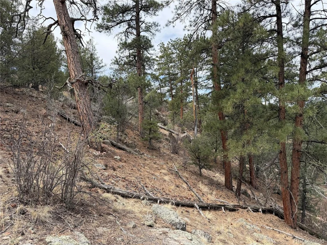 Photo of 672 Coyote Run Trl