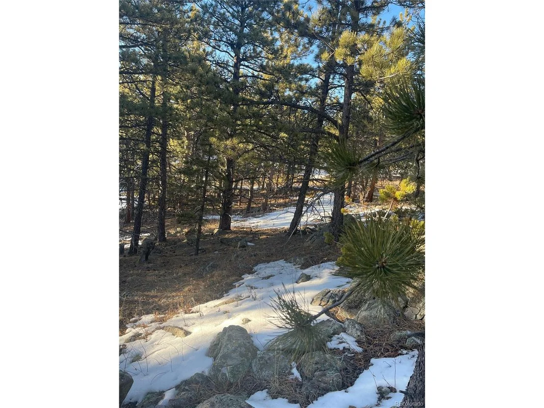Photo of 275 Bigbee High Rd