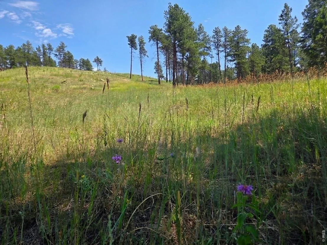 Photo of 620 Davis Ranch Rd