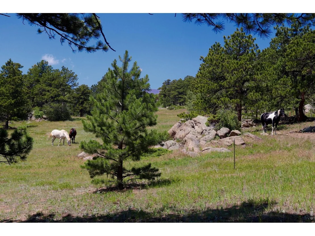 Photo of 636 Ranch Rd