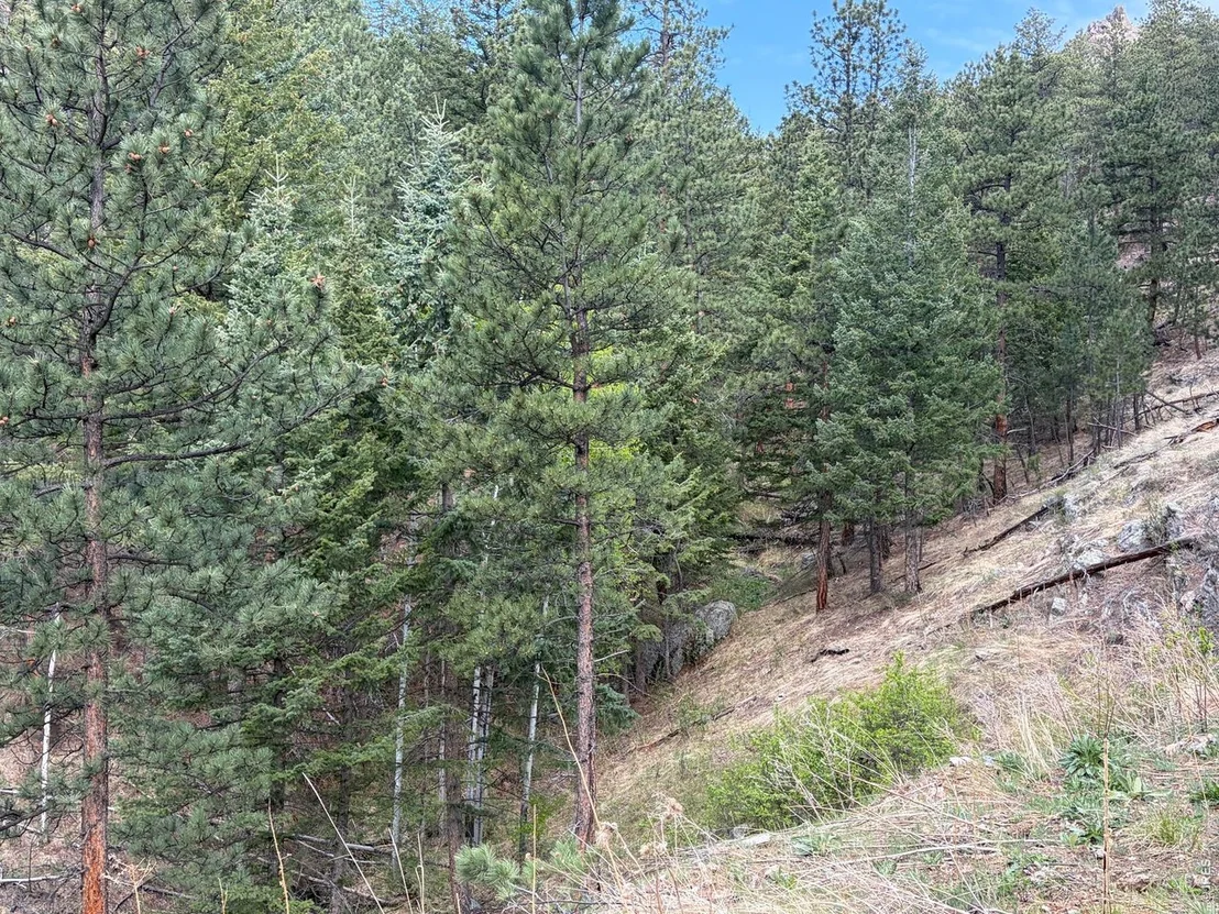 Photo of 1899 Spring Valley Rd