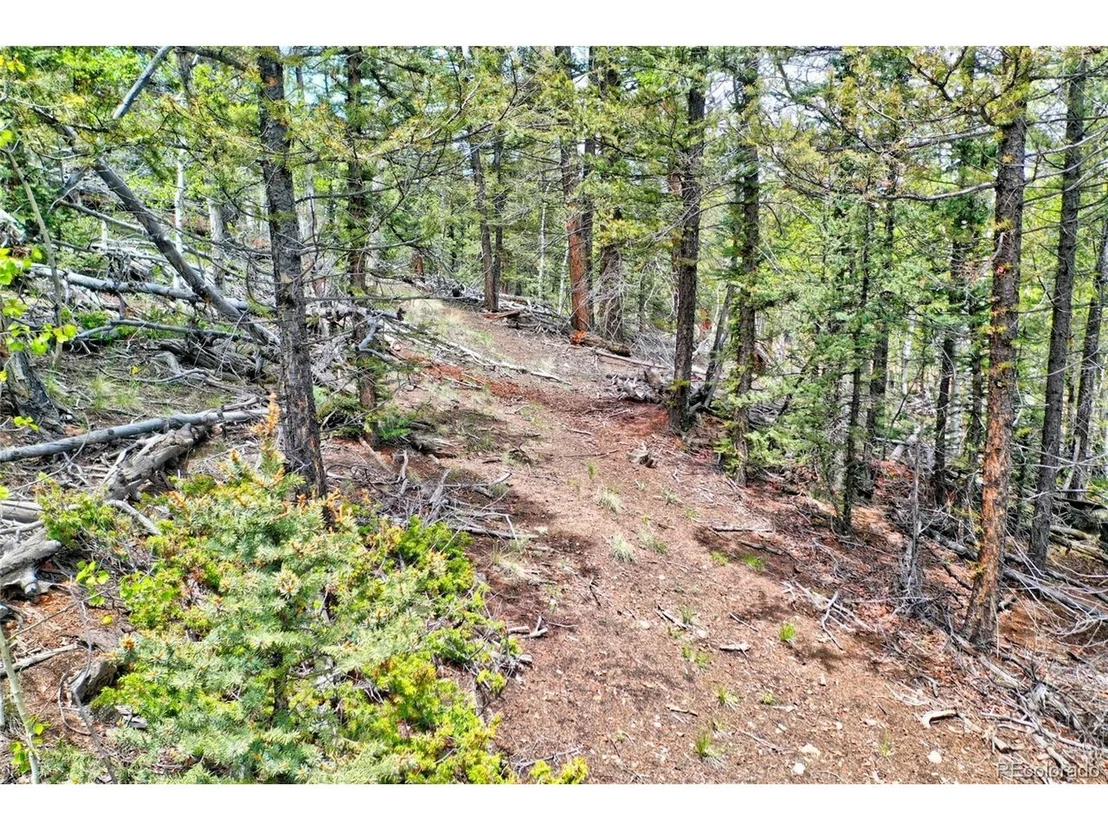 Photo of 28 Old Squaw Rd