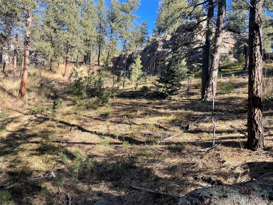 Photo of Shadow Mountain Dr
