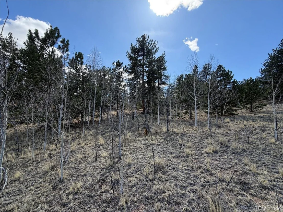 Photo of 239 Shenandoah Path