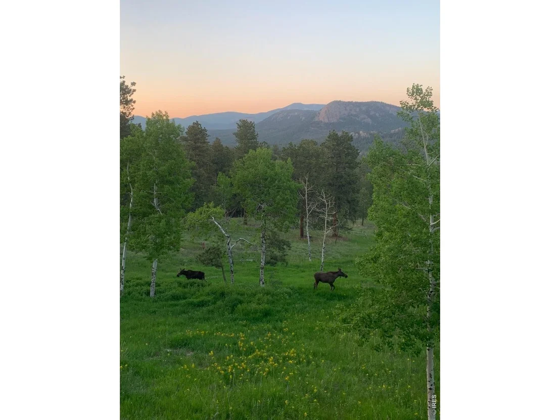 Photo of 278 Overlook Dr